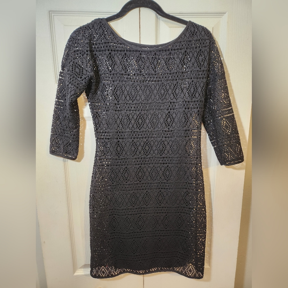 Express Cute Mesh Dress